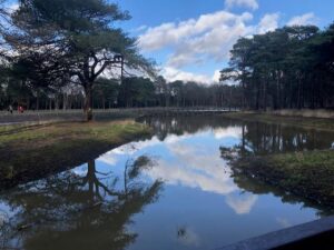 18/5/25 A mirror lake